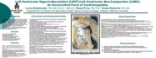 Left Ventricular Hypertrabeculation (LVHT)/Left Ventricular Non-Compaction (LVNC):