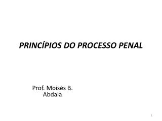 princ pios do processo penal