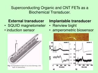 Superconducting Organic and CNT FETs as a Biochemical Transducer.
