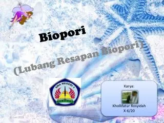 biopori