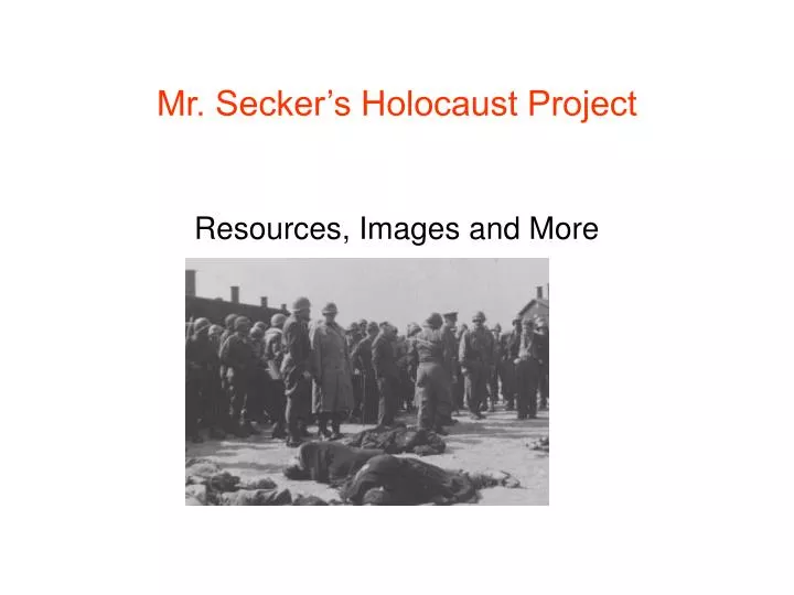 mr secker s holocaust project