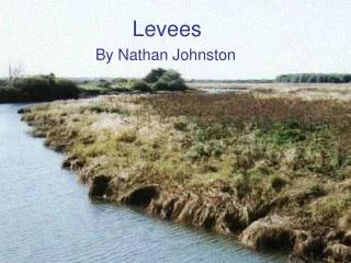 Levees