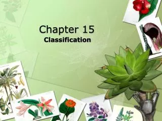 chapter 15