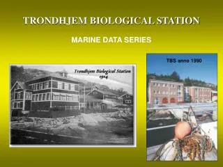 TRONDHJEM BIOLOGICAL STATION MARINE DATA SERIES