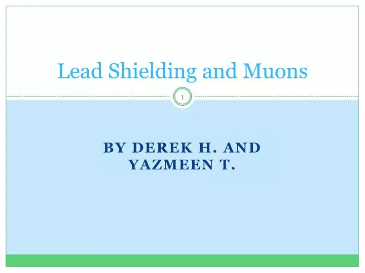 lead shielding and muon s