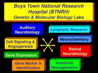 Boys Town National Research Hospital (BTNRH) Genetic &amp; Molecular Biology Labs