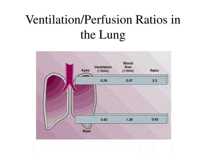 ventilation perfusion ratios in the lung