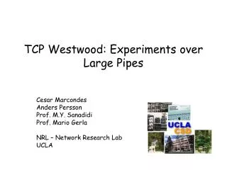 TCP Westwood: Experiments over Large Pipes