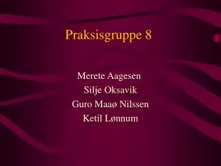 praksisgruppe 8