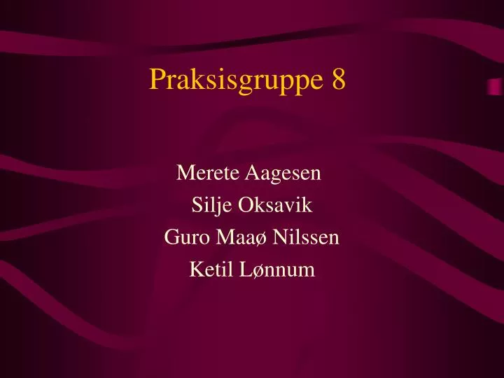 praksisgruppe 8