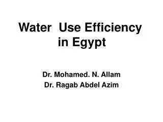 Water Use Efficiency in Egypt