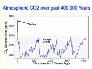 Cooling the Planet with Biomass?