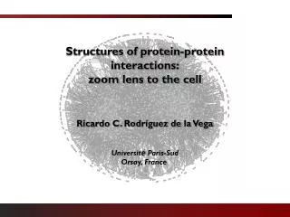 Structures of protein-protein interactions: zoom lens to the cell