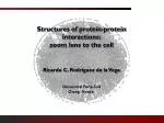 Structures of protein-protein interactions: zoom lens to the cell - slide 1
