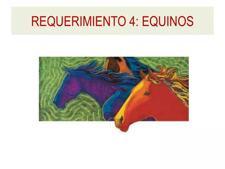 requerimiento 4 equinos