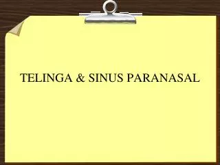 telinga sinus paranasal