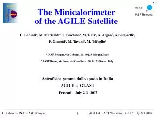 The Minicalorimeter of the AGILE Satellite