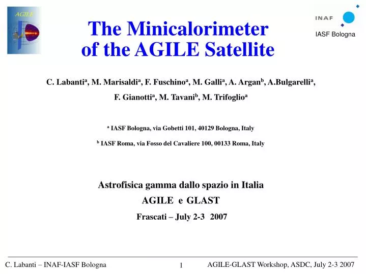 the minicalorimeter of the agile satellite