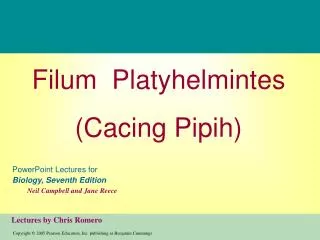 Filum Platyhelmintes (Cacing Pipih)