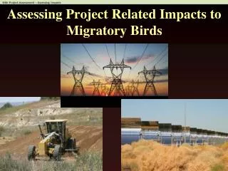 Assessing Project Related Impacts to Migratory Birds