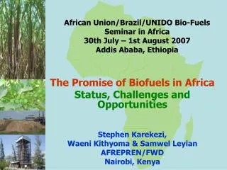 The Promise of Biofuels in Africa Status, Challenges and Opportunities Stephen Karekezi,