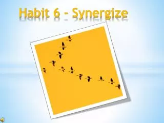 Habit 6 - Synergize