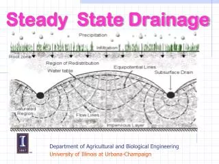 Steady State Drainage