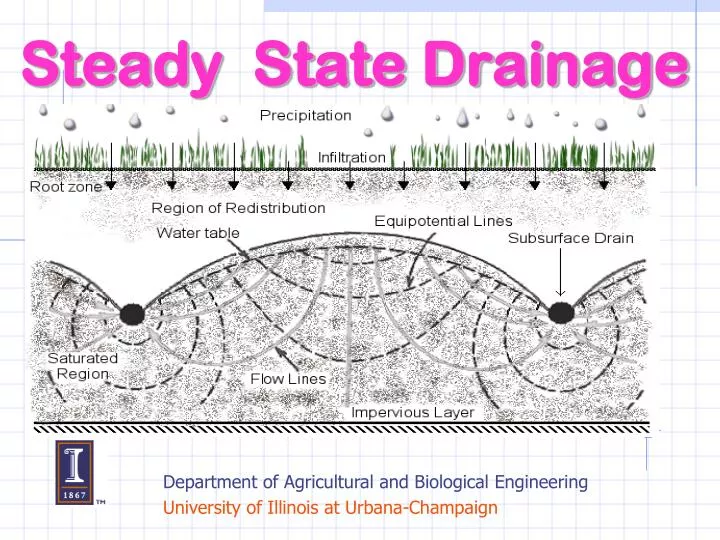 steady state drainage