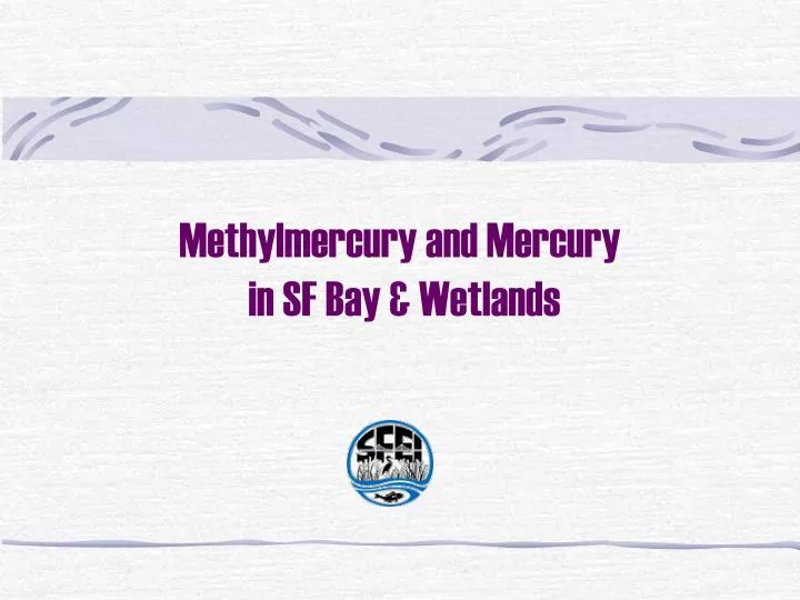 methylmercury and mercury in sf bay wetlands