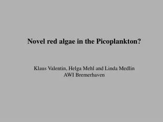 Novel red algae in the Picoplankton? Klaus Valentin, Helga Mehl and Linda Medlin AWI Bremerhaven
