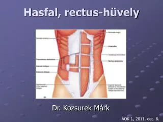 hasfal rectus h vely