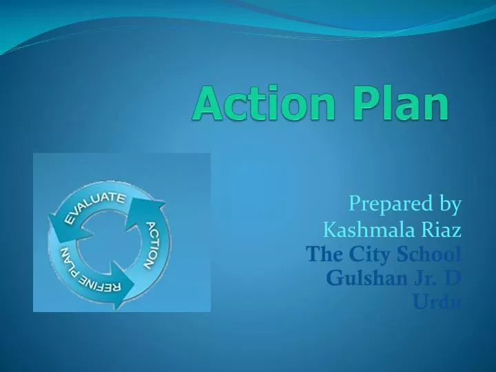 action plan