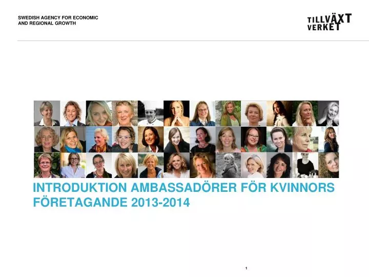 introduktion ambassad rer f r kvinnors f retagande 2013 2014
