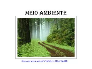 meio ambiente