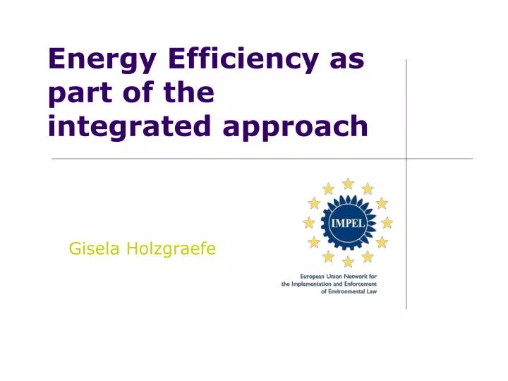 energy efficiency as part of the integrated approach