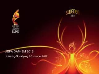 uefa dam em 2013