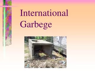 International Garbege