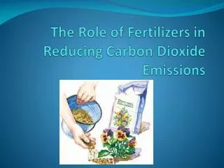 The Role of Fertilizers in Reducing Carbon Dioxide Emissions
