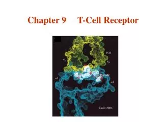 Chapter 9 T-Cell Receptor