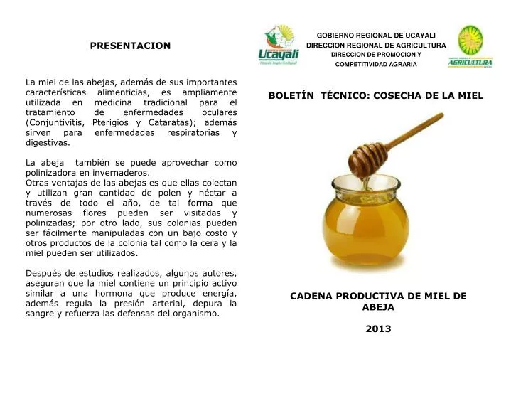 cadena productiva de miel de abeja 2013