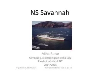 ns savannah