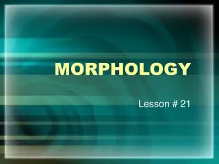 MORPHOLOGY