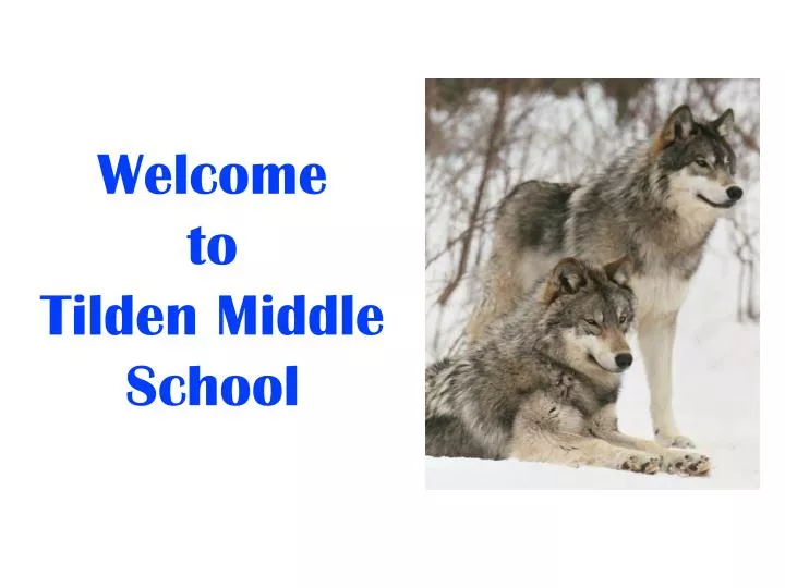 welcome to tilden middle school