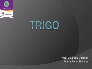 noel bejarano delgado albero p rez reveles