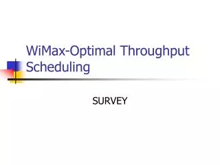 WiMax-Optimal Throughput Scheduling