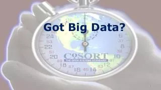 Got Big Data?