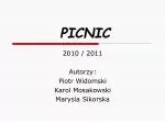 PICNIC - slide 1