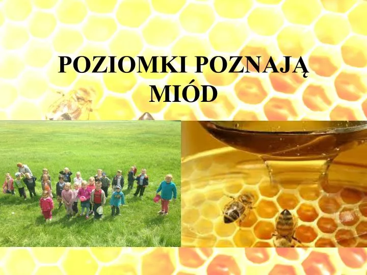 poziomki poznaj mi d