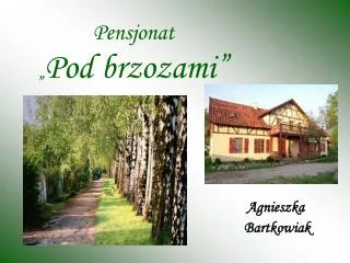 pensjonat pod brzozami