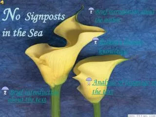 n o signposts in the sea